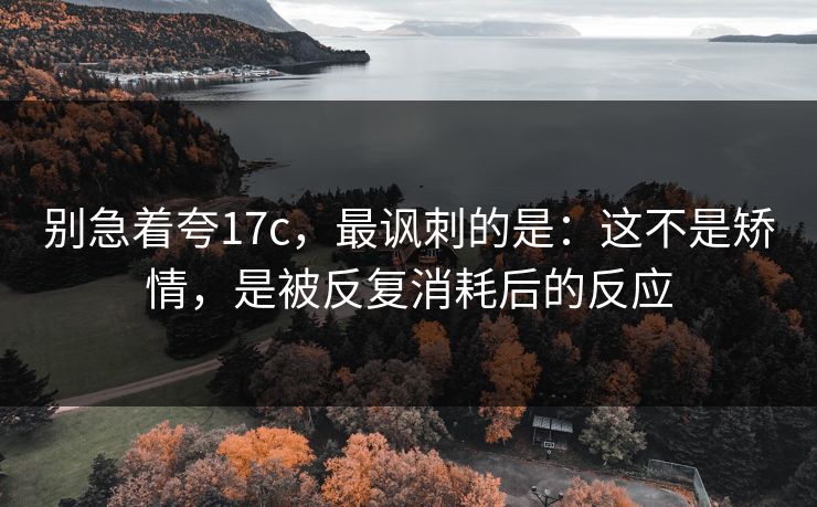 别急着夸17c，最讽刺的是：这不是矫情，是被反复消耗后的反应