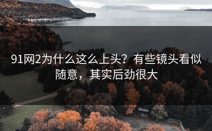 91网2为什么这么上头？有些镜头看似随意，其实后劲很大