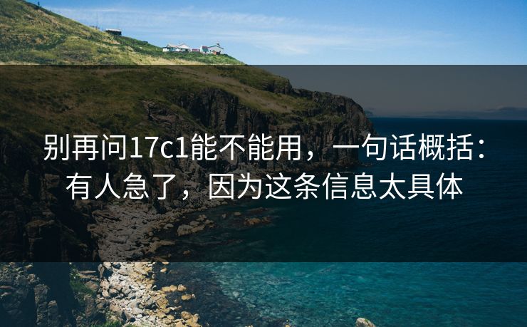 别再问17c1能不能用，一句话概括：有人急了，因为这条信息太具体