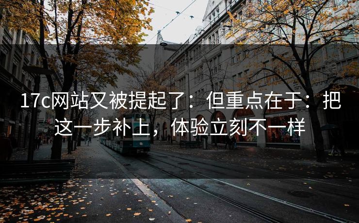 17c网站又被提起了：但重点在于：把这一步补上，体验立刻不一样